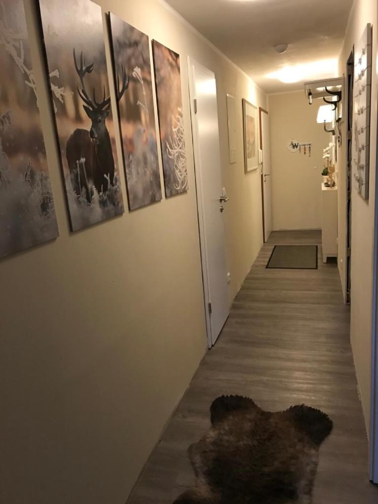 Apartamento Wurmbergtraum Celina In Braunlage 4 Sterne Zertifiziert Vom Dtv Inklusive Waeschepakete Exterior foto